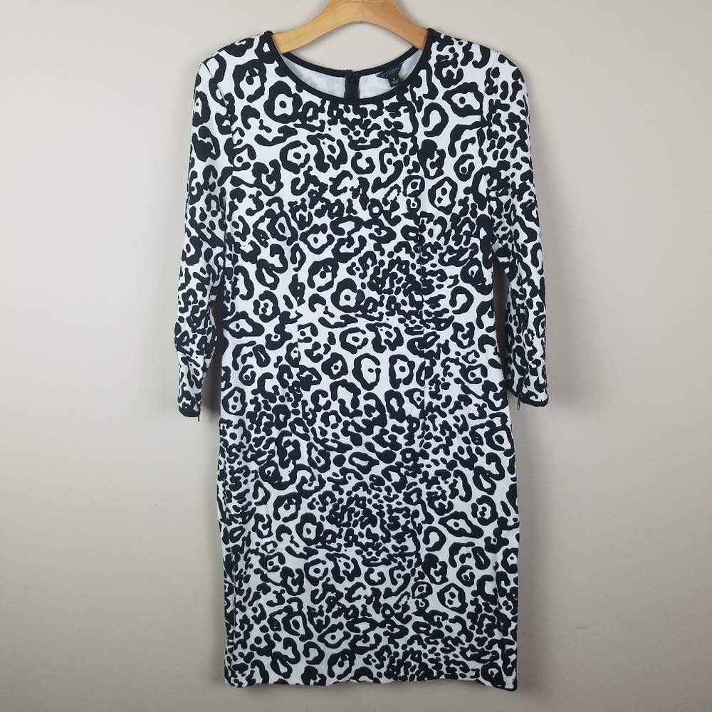 Ann Taylor animal print career dress